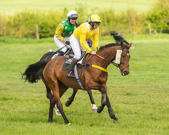 Race 4 - PPORA Novice Riders-2