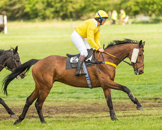 Race 4 - PPORA Novice Riders-3