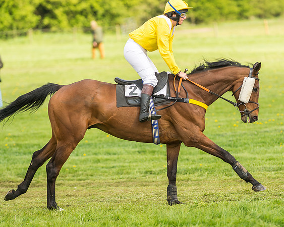 Race 4 - PPORA Novice Riders-4