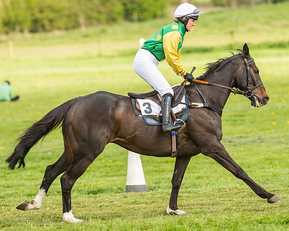 Race 4 - PPORA Novice Riders-5
