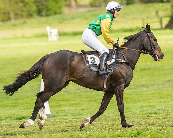 Race 4 - PPORA Novice Riders-6
