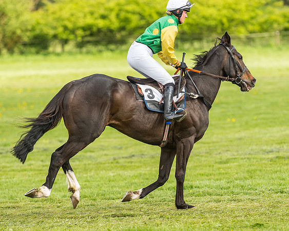 Race 4 - PPORA Novice Riders-7