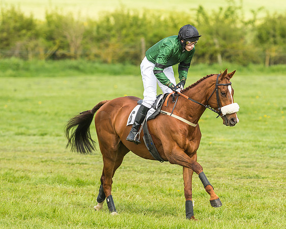 Race 4 - PPORA Novice Riders-8