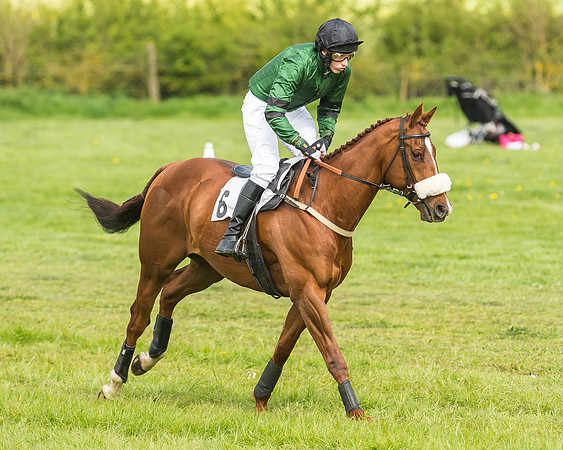 Race 4 - PPORA Novice Riders-9