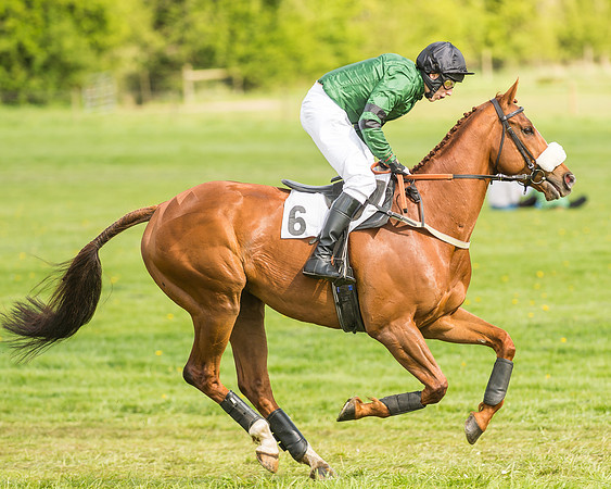 Race 4 - PPORA Novice Riders-10