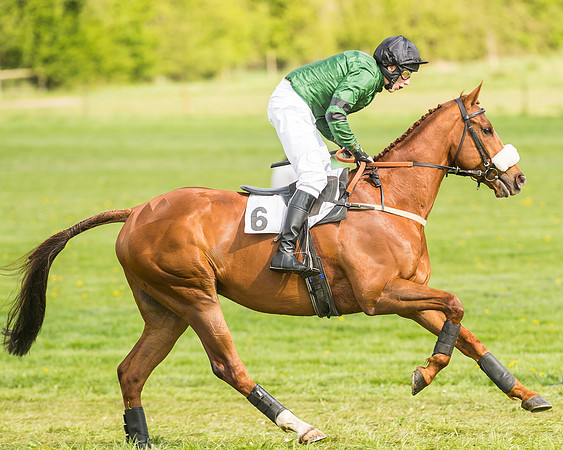 Race 4 - PPORA Novice Riders-11