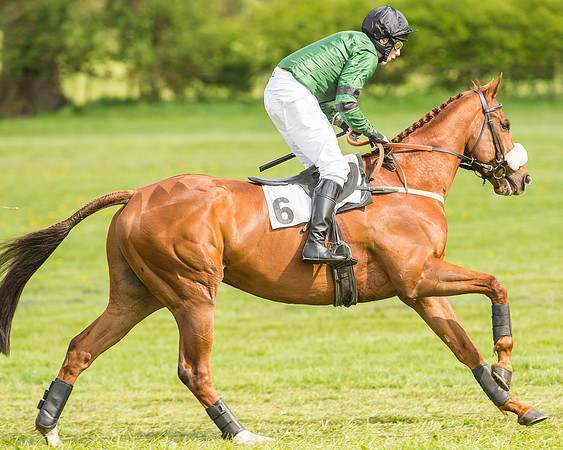 Race 4 - PPORA Novice Riders-14
