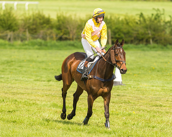 Race 4 - PPORA Novice Riders-15