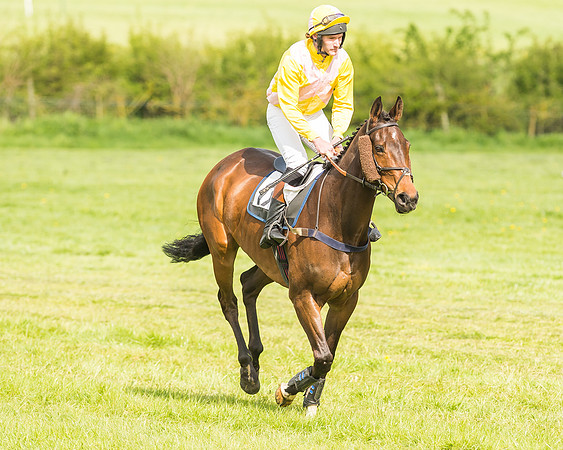 Race 4 - PPORA Novice Riders-16