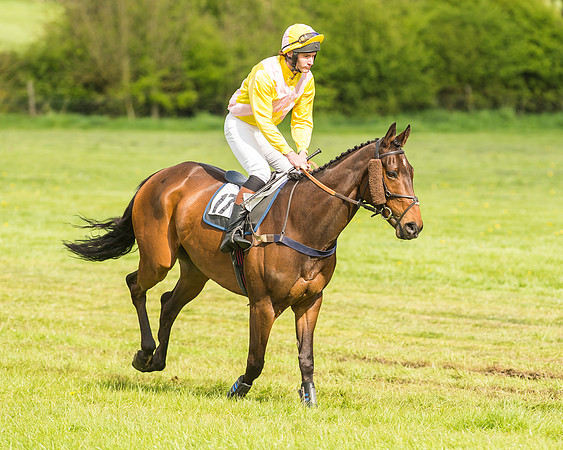 Race 4 - PPORA Novice Riders-17