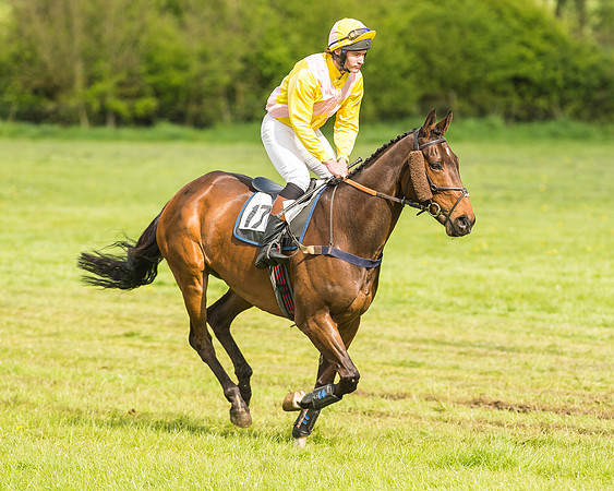 Race 4 - PPORA Novice Riders-18
