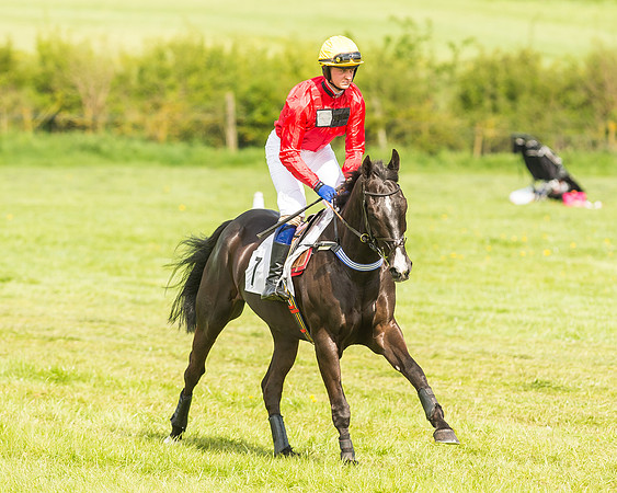 Race 4 - PPORA Novice Riders-19
