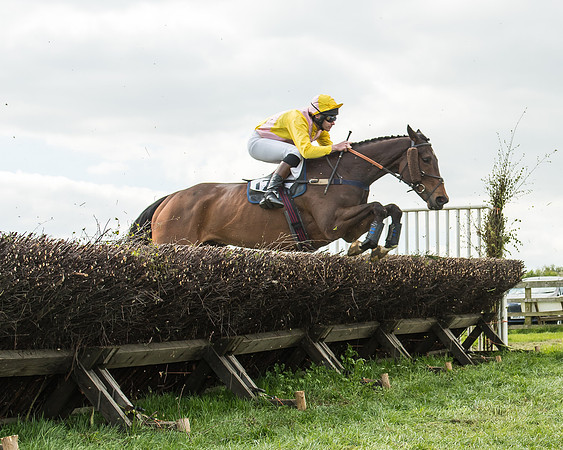 Race 4 - PPORA Novice Riders-31
