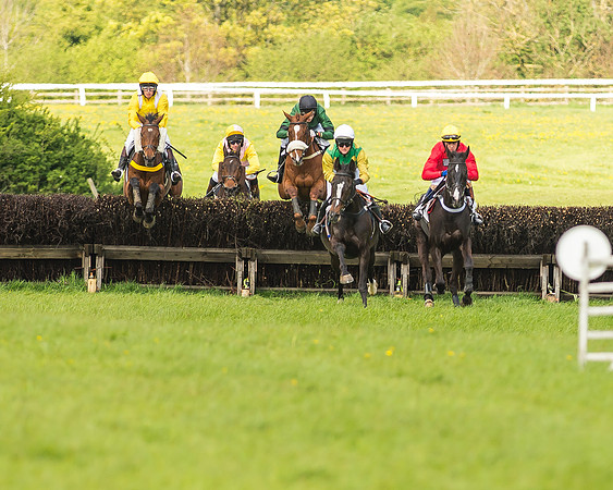 Race 4 - PPORA Novice Riders-37