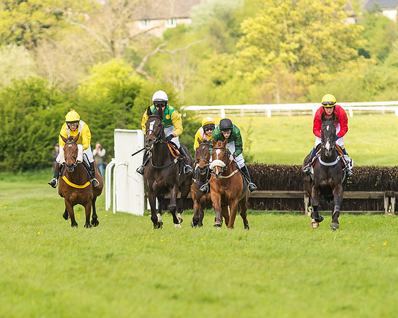 Race 4 - PPORA Novice Riders-41