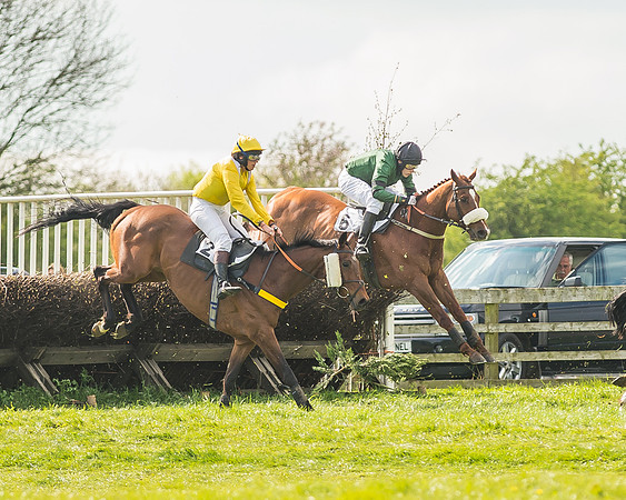 Race 4 - PPORA Novice Riders-60