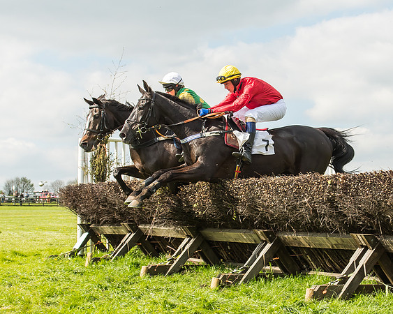 Race 4 - PPORA Novice Riders-75