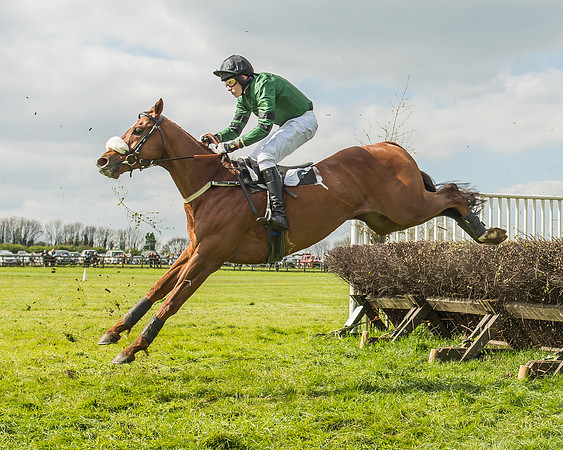 Race 4 - PPORA Novice Riders-80