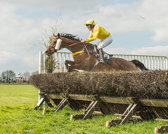 Race 4 - PPORA Novice Riders-81
