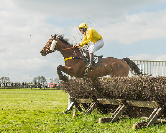 Race 4 - PPORA Novice Riders-82