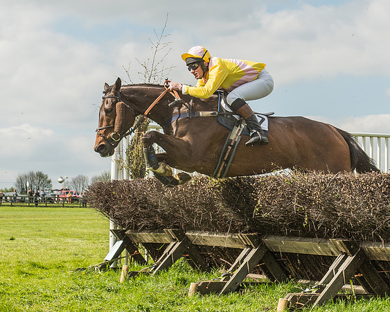 Race 4 - PPORA Novice Riders-85