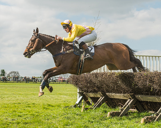 Race 4 - PPORA Novice Riders-86