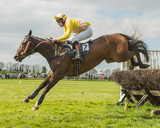 Race 4 - PPORA Novice Riders-87