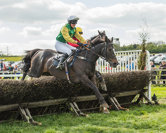 Race 4 - PPORA Novice Riders-90