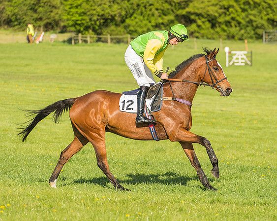 Race 7 - PPORA Conditions -38