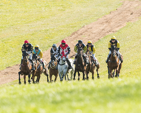 Race 7 - PPORA Conditions -50