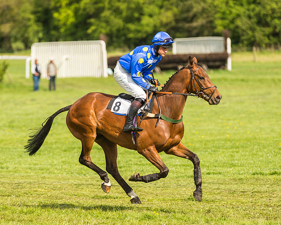 Race 5 - Restricted Race-2