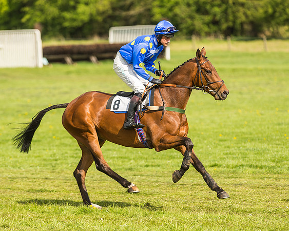 Race 5 - Restricted Race-3