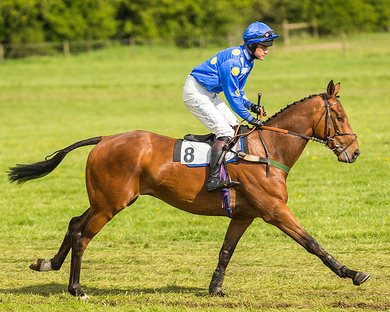 Race 5 - Restricted Race-4