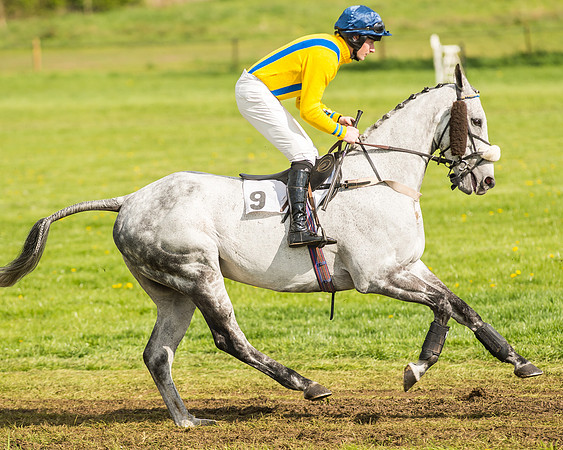 Race 5 - Restricted Race-6