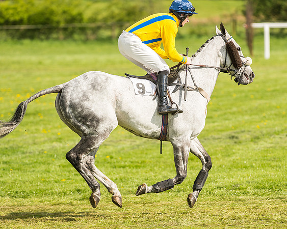 Race 5 - Restricted Race-7
