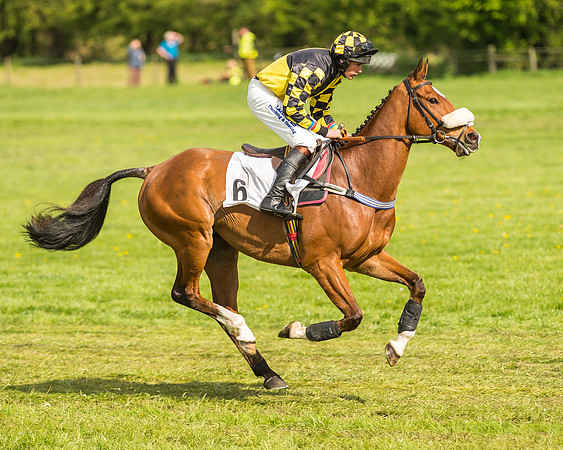 Race 5 - Restricted Race-8