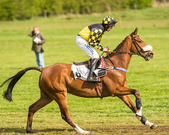 Race 5 - Restricted Race-9