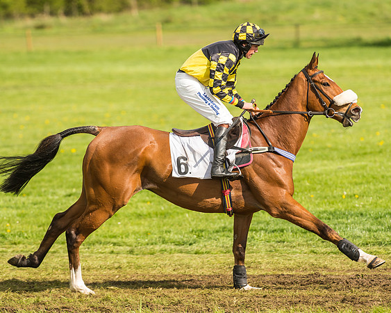 Race 5 - Restricted Race-10