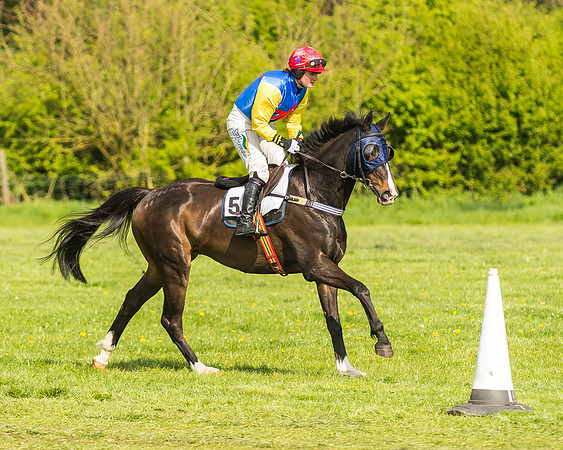 Race 5 - Restricted Race-11