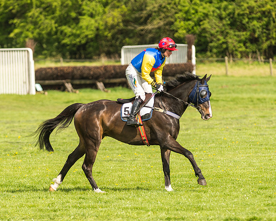 Race 5 - Restricted Race-12