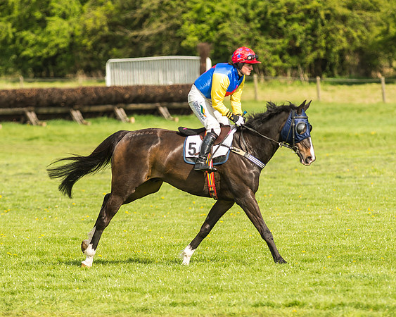 Race 5 - Restricted Race-13