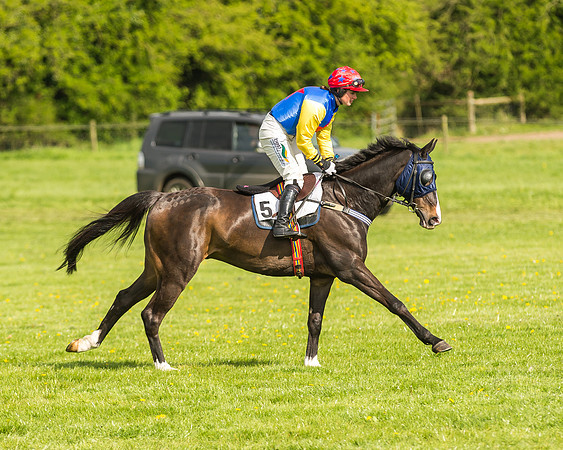 Race 5 - Restricted Race-14