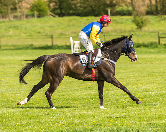 Race 5 - Restricted Race-15