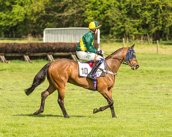 Race 5 - Restricted Race-16