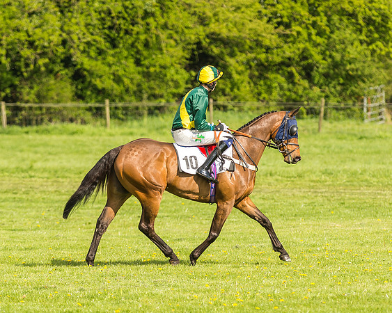 Race 5 - Restricted Race-17