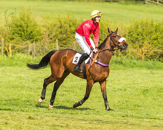 Race 5 - Restricted Race-18