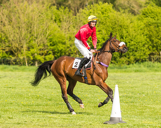 Race 5 - Restricted Race-19