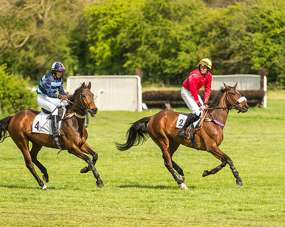 Race 5 - Restricted Race-20