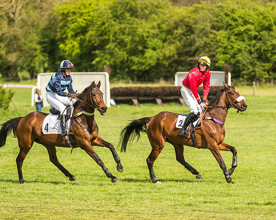 Race 5 - Restricted Race-21