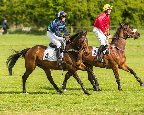 Race 5 - Restricted Race-22